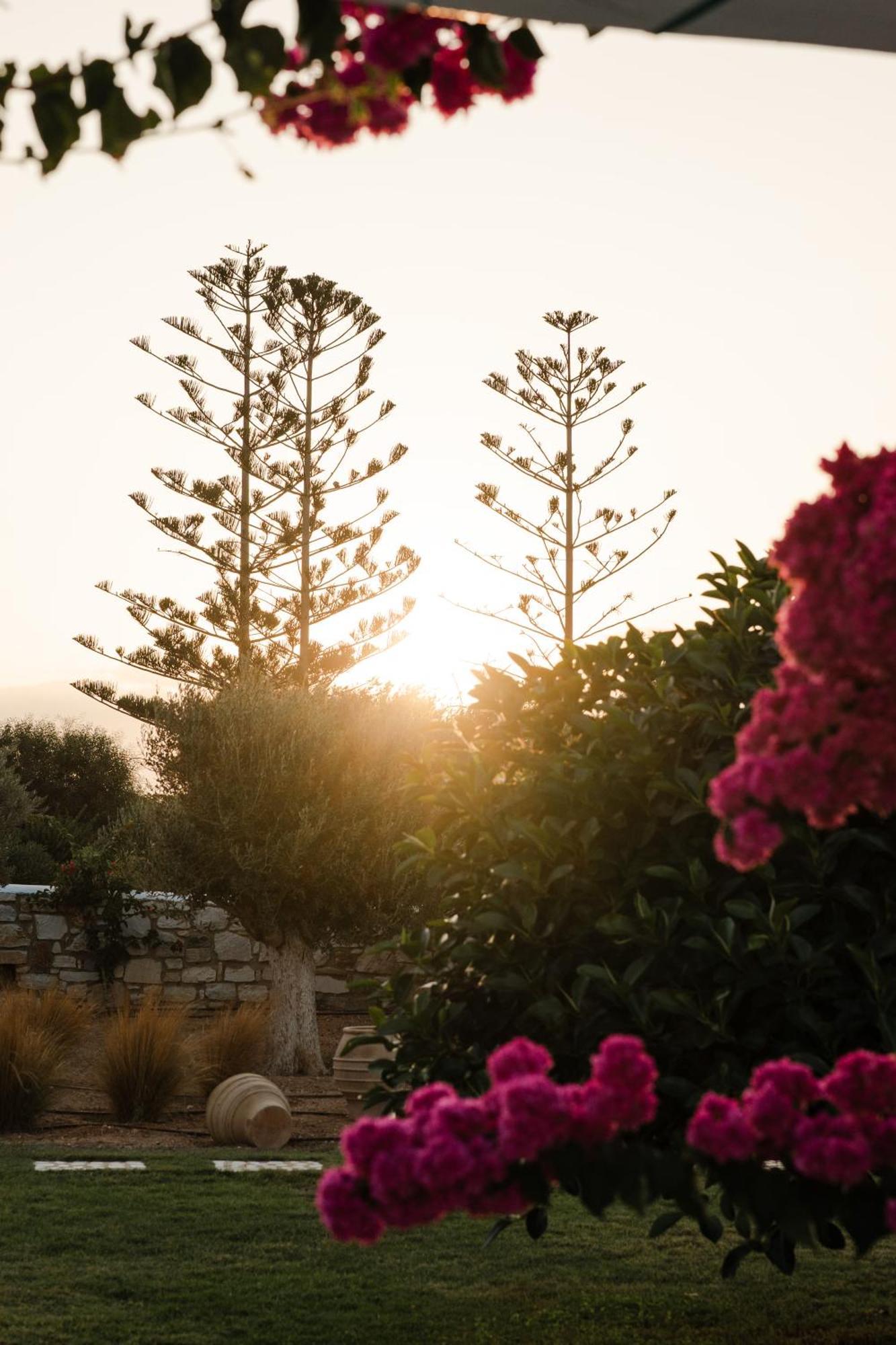 White Dunes Luxury Boutique Hotel Santa Maria  Eksteriør billede