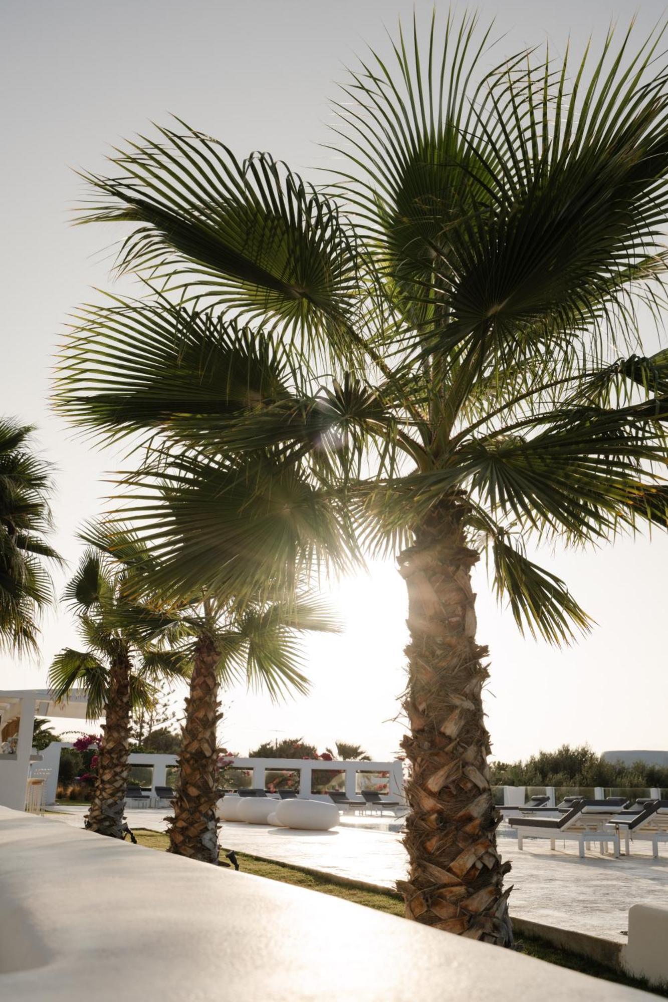 White Dunes Luxury Boutique Hotel Santa Maria  Eksteriør billede